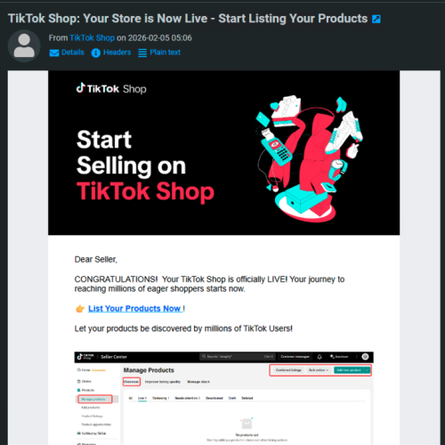 TikTok Marketplace Consultancy